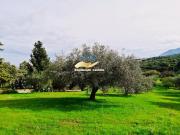 Terreno in vendita a Bagheria PA