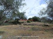 Terreno in vendita a Bagheria PA