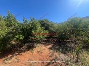 Terreno in vendita a Bagheria PA