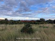Terreno in vendita a Bagheria PA