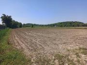Terreno in vendita a Barbarano Mossano VI