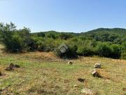 Terreno in vendita a Barbarano Romano VT