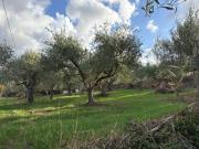 Terreno in vendita a Barcellona Pozzo di Gotto ME