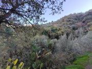 Terreno in vendita a Barcellona Pozzo di Gotto ME