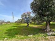 Terreno in vendita a Bari BA