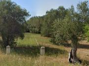 Terreno in vendita a Bari BA