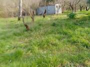 Terreno in vendita a Baronissi SA