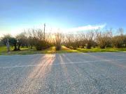 Terreno in vendita a Bassano in Teverina VT