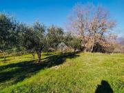 Terreno in vendita a Bassano Romano VT