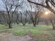 Terreno in vendita a Bassano Romano VT