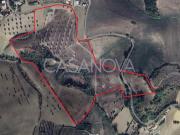 Terreno in vendita a Bellante TE
