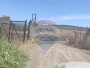 Terreno in vendita a Belpasso