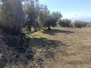 Terreno in vendita a Belpasso CT