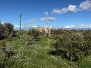 Terreno in vendita a Belpasso CT