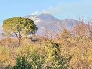 Terreno in vendita a Belpasso CT