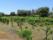 Terreno in vendita a Belpasso CT