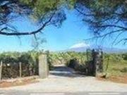 Terreno in vendita a Belpasso CT