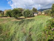 Terreno in vendita a Belvedere Marittimo CS