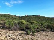 Terreno in vendita a Berchidda SS