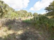 Terreno in vendita a Berchidda SS