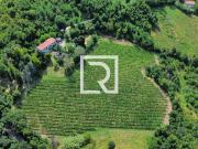 Terreno in vendita a Bertinoro FC