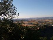 Terreno in vendita a Bettona PG