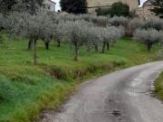 Terreno in vendita a Bevagna PG