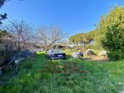 Terreno in vendita a Bibbona LI