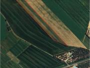 Terreno in vendita a Bibbona LI