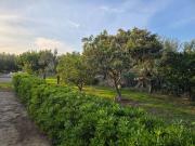 Terreno in vendita a Bisceglie BT