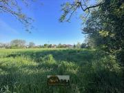 Terreno in vendita a Bolgare BG