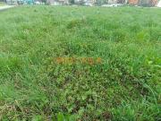 Terreno in vendita a Bolgare BG