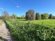 Terreno in vendita a Bologna BO