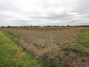 Terreno in vendita a Bologna BO Terreno in vendita a Bologna BO
