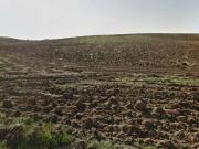 Terreno in vendita a Bolsena VT