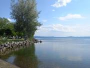 Terreno in vendita a Bolsena VT