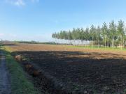 Terreno in vendita a Bomporto MO