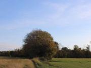 Terreno in vendita a Bonate Sotto BG