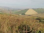 Terreno in vendita a Borghi FC