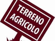 Terreno in vendita a Borgoricco PD
