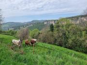 Terreno in vendita a Bosco Chiesanuova VR