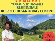 Terreno in vendita a Bosco Chiesanuova VR