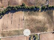 Terreno in vendita a Bracciano RM