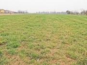 Terreno in vendita a Brembate BG