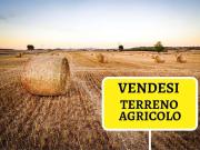 Terreno in vendita a Briosco MB