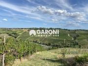 Terreno in vendita a Brisighella RA