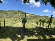 Terreno in vendita a Brisighella RA