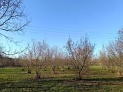 Terreno in vendita a Brusasco TO