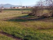Terreno in vendita a Buggiano PT