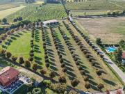 Terreno in vendita a Bussolengo VR